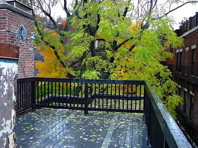 82 Phillips St, Beacon Hill