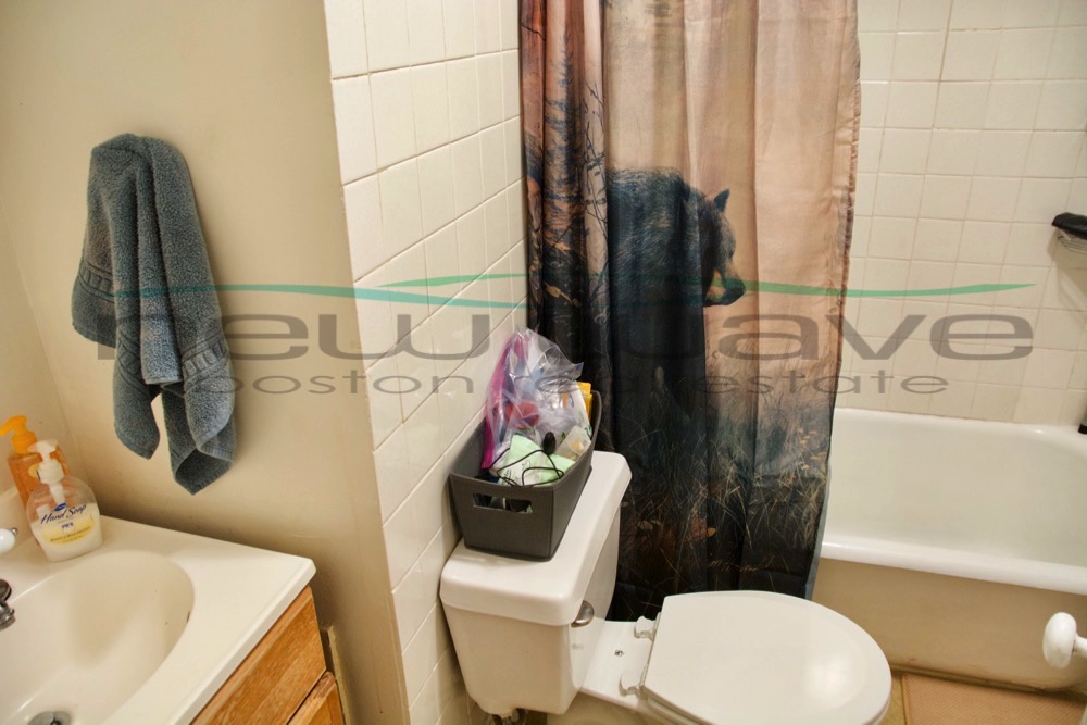 90 Myrtle St, Beacon Hill