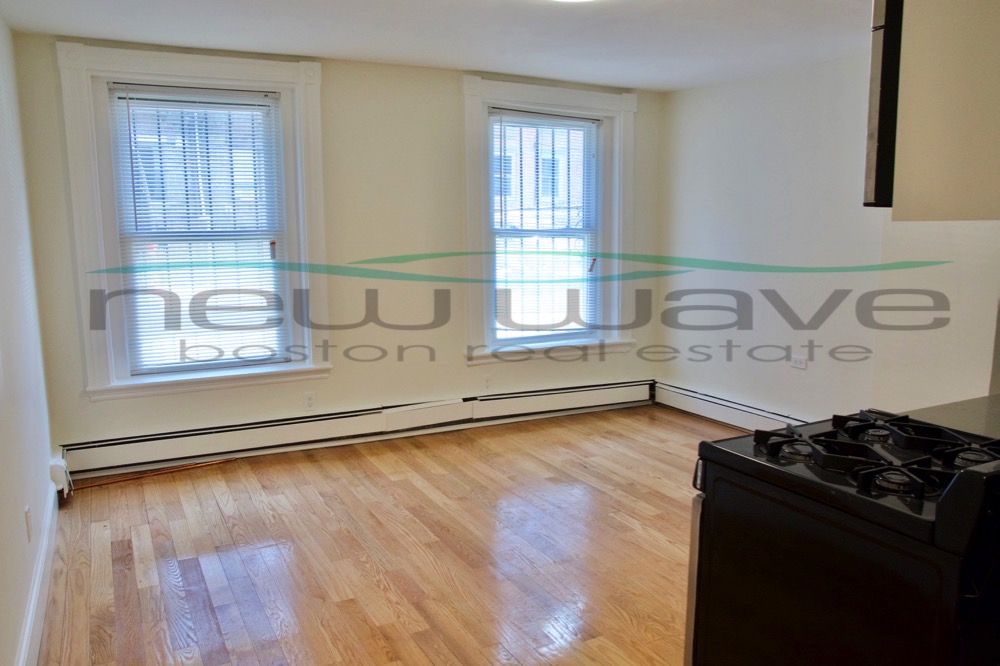 36 Springfield St, South End