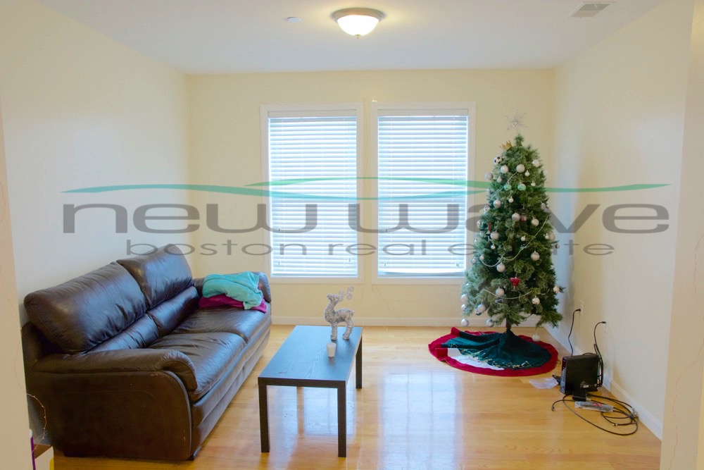 207 Hillside St, Mission Hill