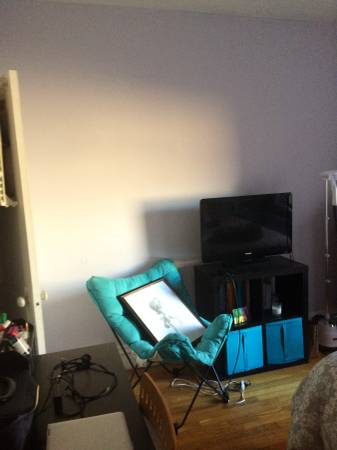 1 bed, 1 bath apartment for rent at 52 Charlesgate East Unit 160, Fenway — photo 7 of 9
