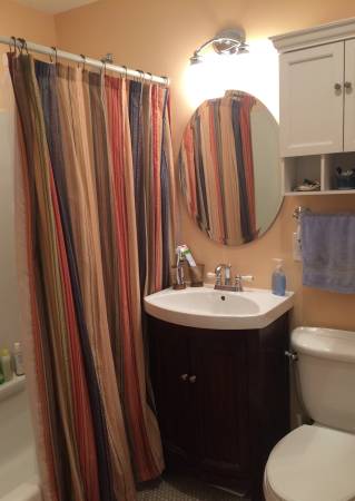 2 bed, 1 bath apartment for rent at 68 Telegraph St Unit 2, South Boston — photo 11 of 11