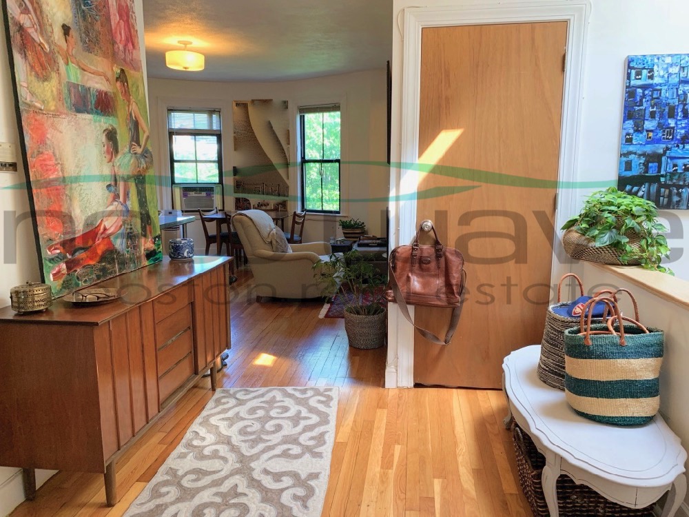 41 Springfield St, South End