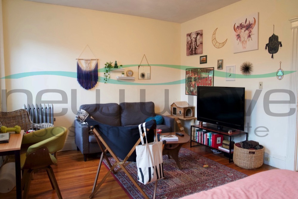 Studio bed, 1 bath apartment for rent at 195 Park Dr Unit 24, Fenway — photo 2 of 5
