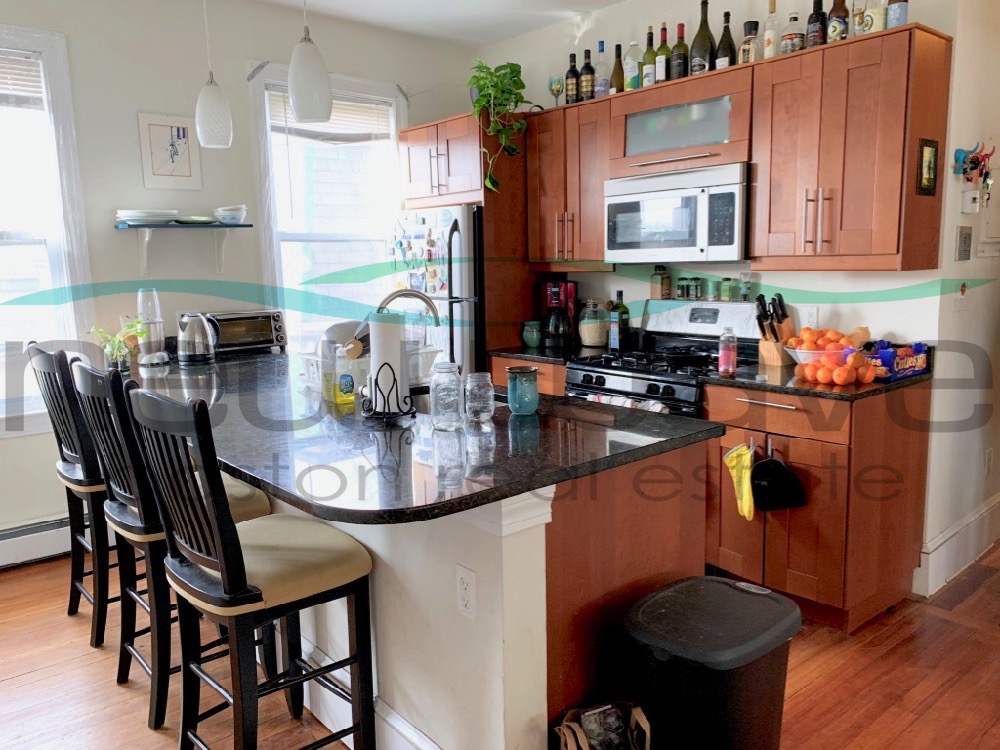 12 Wensley St, Mission Hill