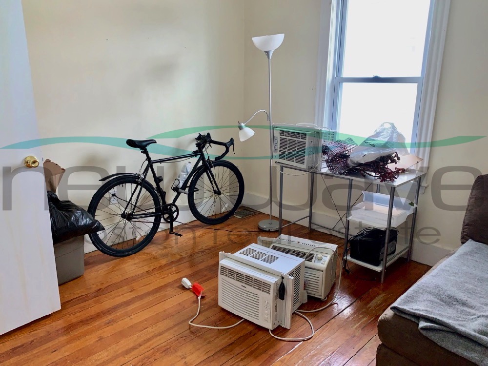 20 Lawn St, Mission Hill