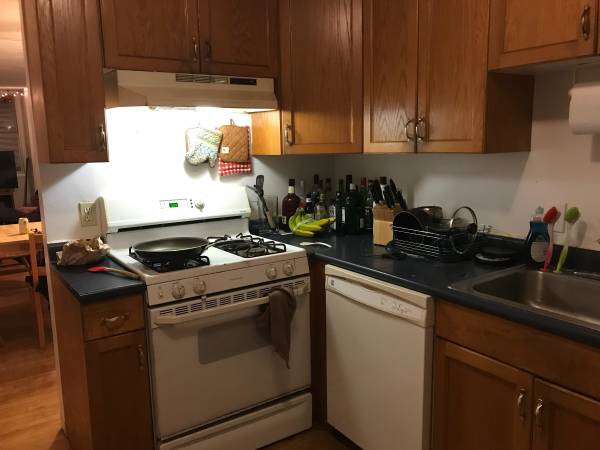 3.5 bed, 2 bath apartment for rent at 1 Terrace St Unit 1, Mission Hill — photo 2 of 11