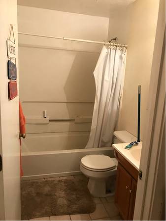 3.5 bed, 2 bath apartment for rent at 1 Terrace St Unit 1, Mission Hill — photo 11 of 11