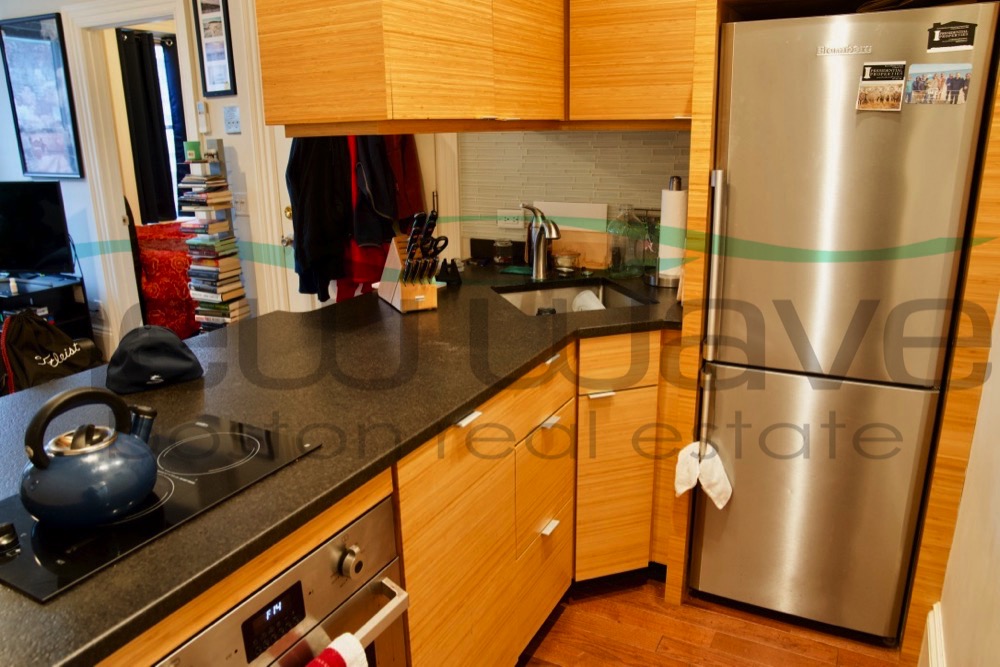 98 Myrtle St, Beacon Hill