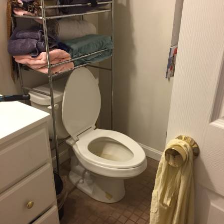 1 bed, 1 bath apartment for rent at 12 Beckler Ave, South Boston — photo 8 of 8