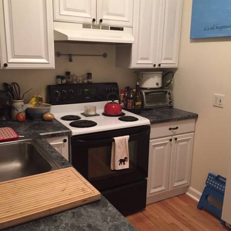 1 bed, 1 bath apartment for rent at 12 Beckler Ave, South Boston — photo 4 of 8