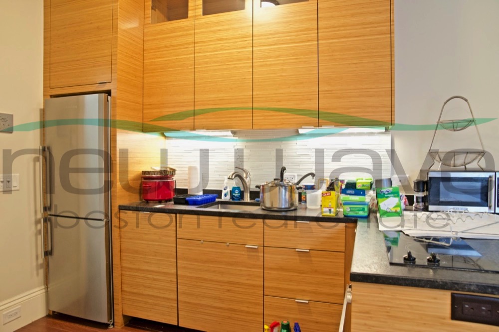 98 Myrtle St, Beacon Hill