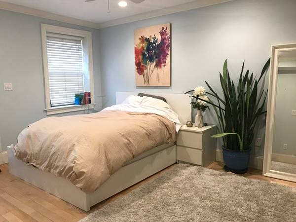 1 bed, 1 bath apartment for rent at 612 Columbus Ave Unit B1, South End — photo 13 of 15