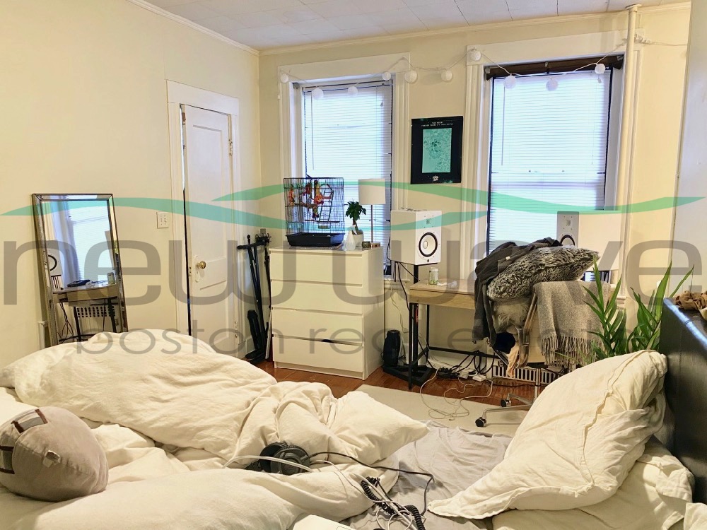 56 Queensberry St, Fenway