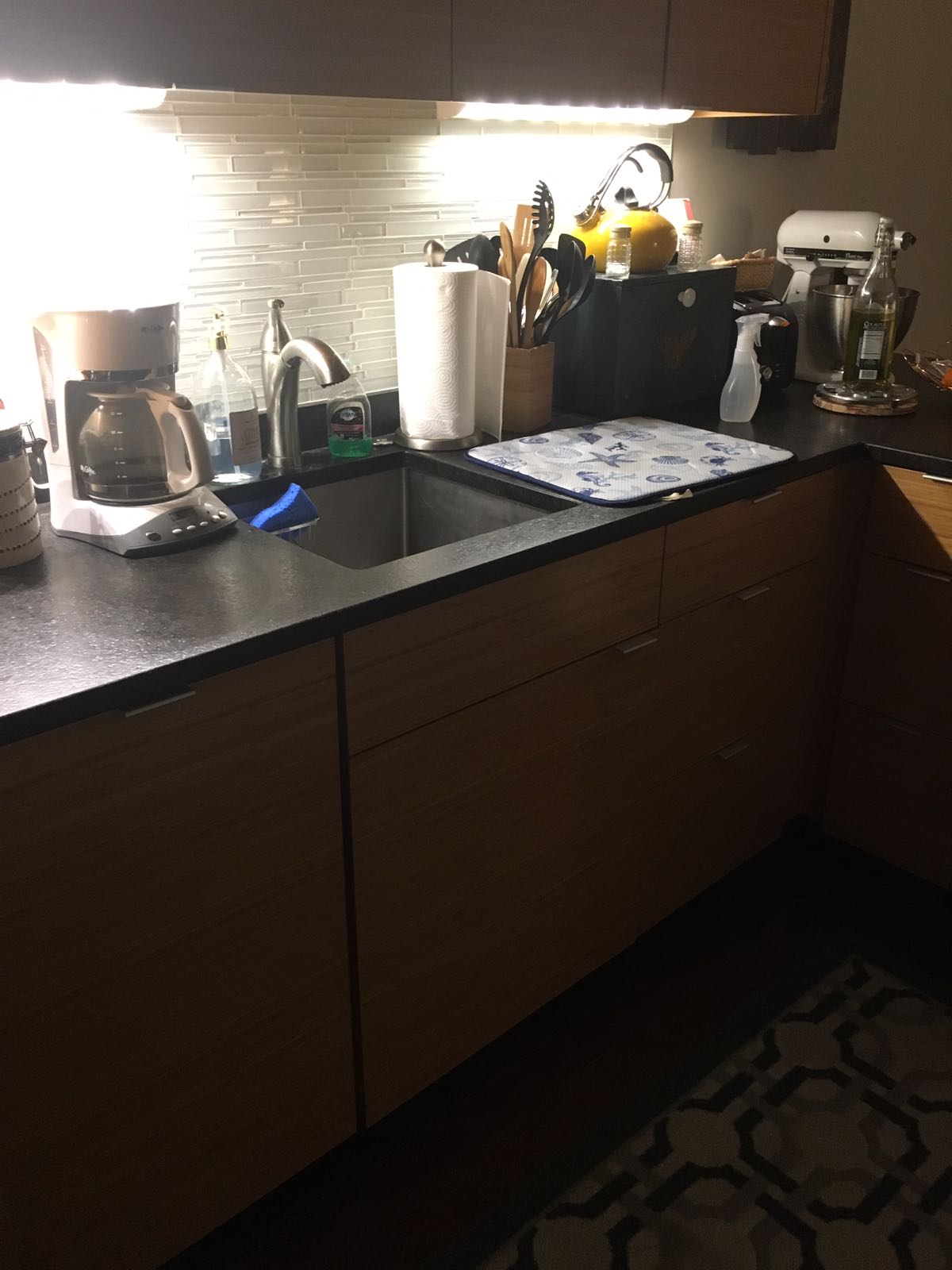 98 Myrtle St, Beacon Hill