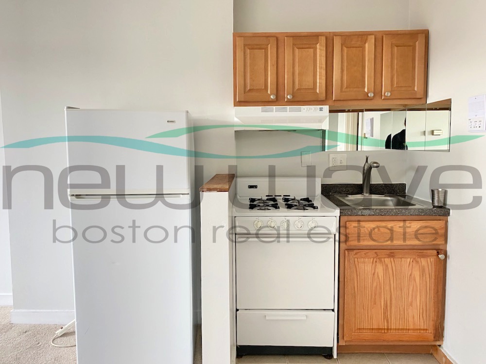 1 bed, 1 bath apartment for rent at 550 Columbus Ave Unit 8, South End — photo 4 of 7