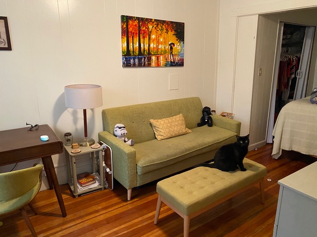 Studio bed, 1 bath apartment for rent at 232 Cambridge St Unit 2, Beacon Hill — photo 1 of 9