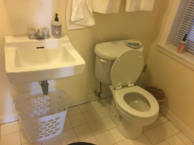 51 Phillips St, Beacon Hill