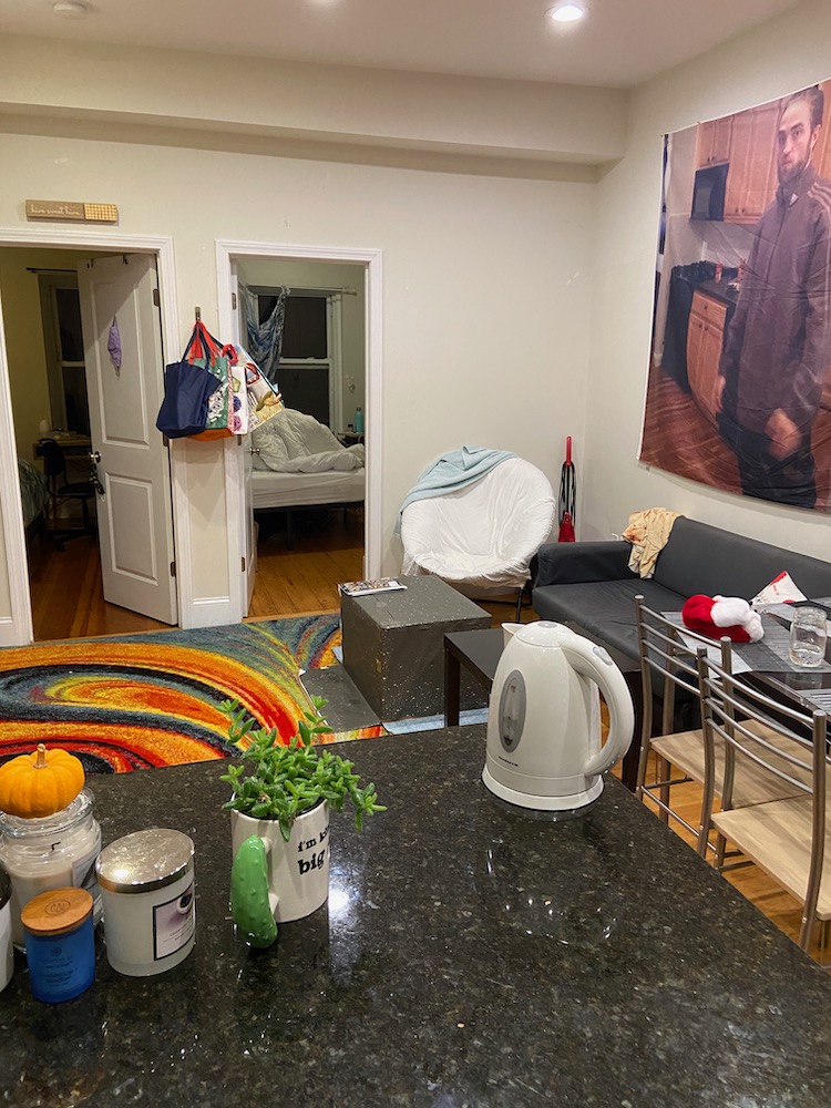 3 bed, 1 bath apartment for rent at 16 Burney St Unit 6, Mission Hill — photo 6 of 40