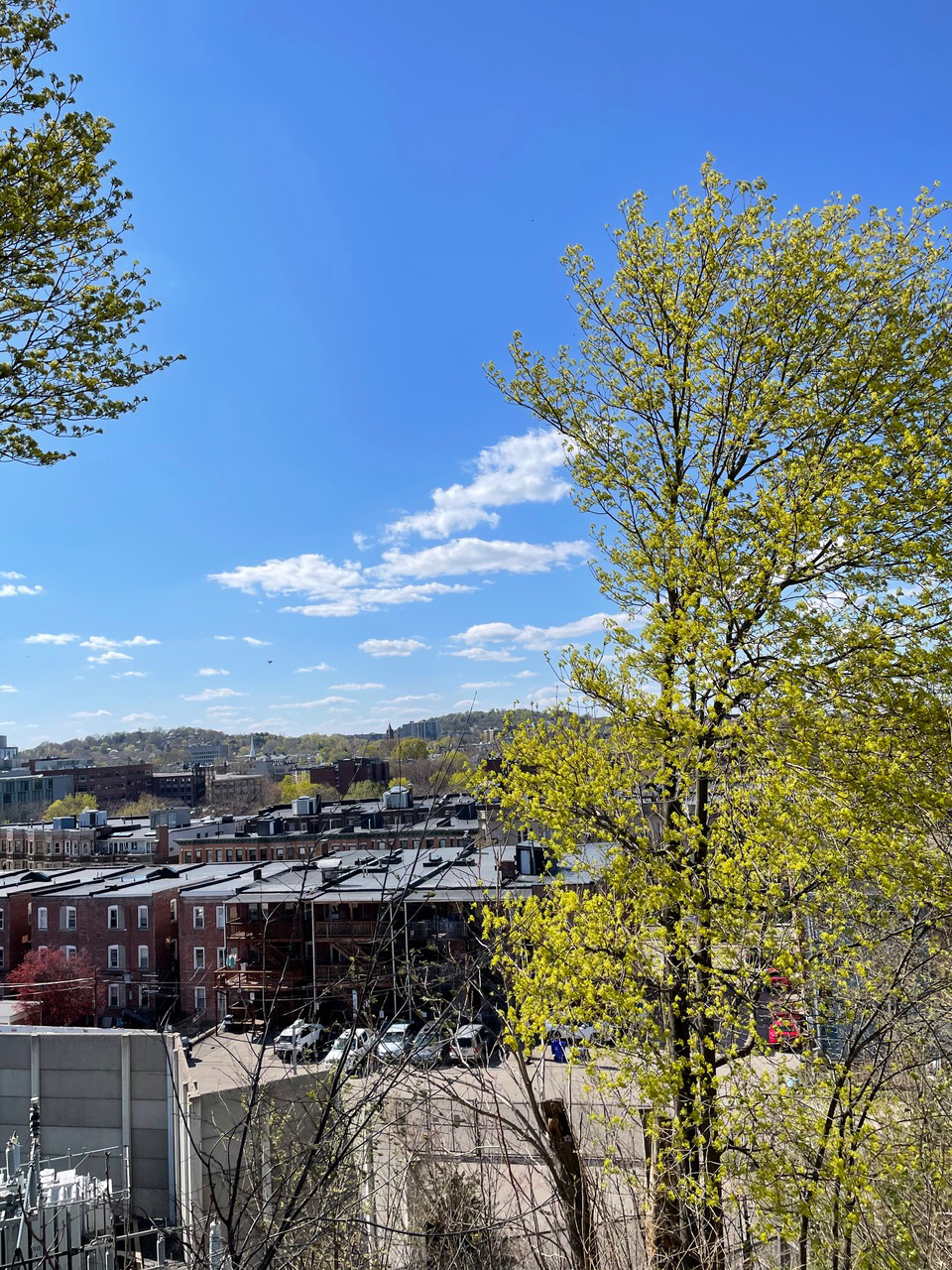 16 Copenger St, Mission Hill