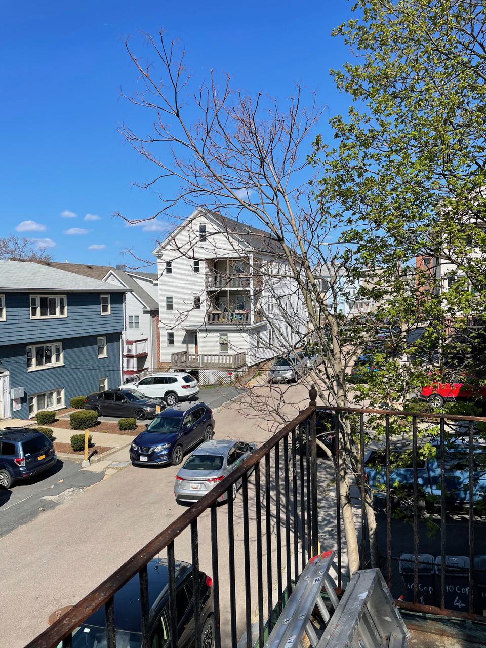 16 Copenger St, Mission Hill