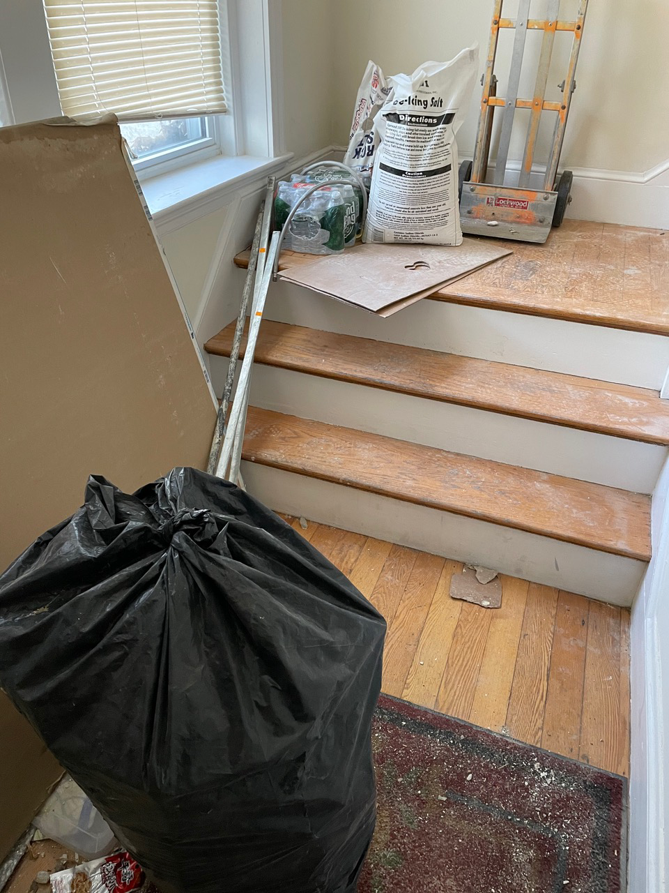 16 Copenger St, Mission Hill