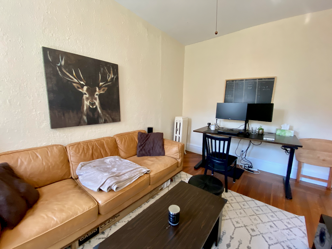 108 Myrtle St, Beacon Hill