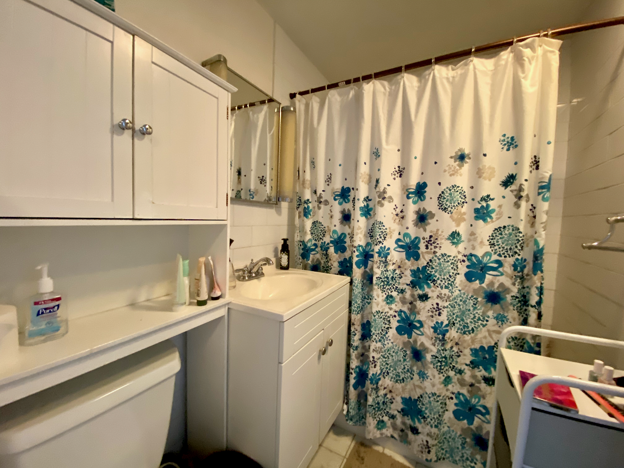 108 Myrtle St, Beacon Hill