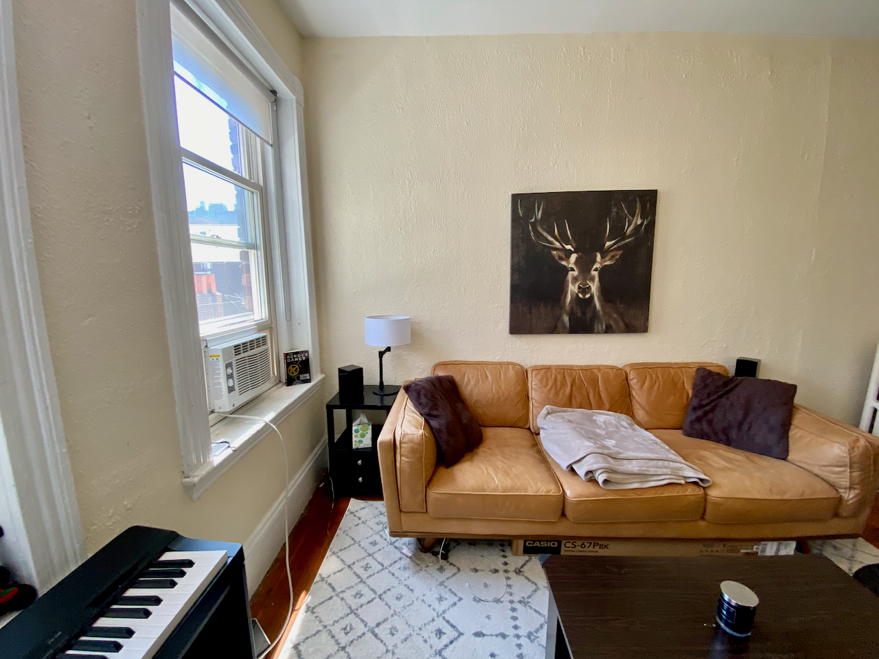 108 Myrtle St, Beacon Hill