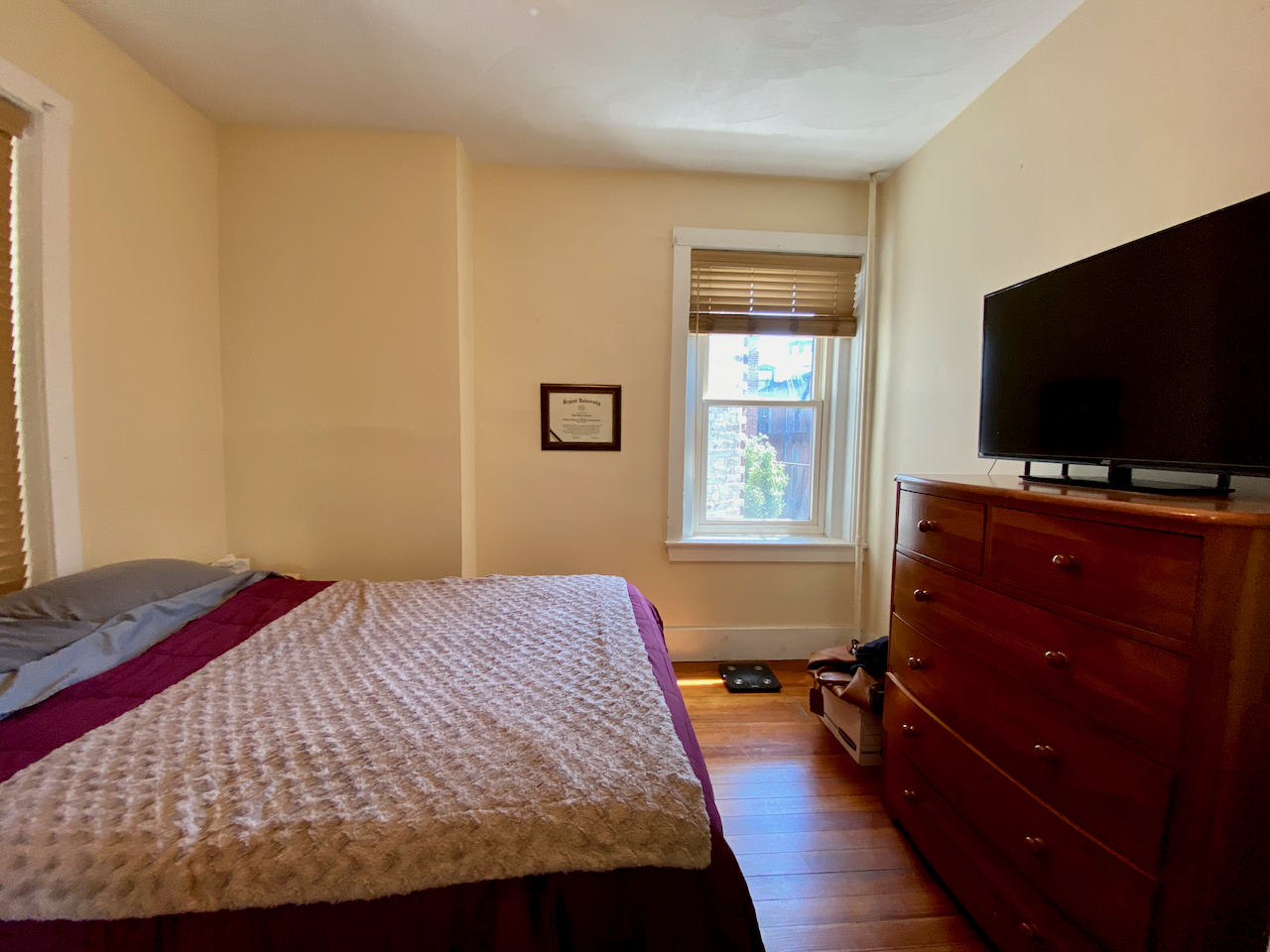 108 Myrtle St, Beacon Hill