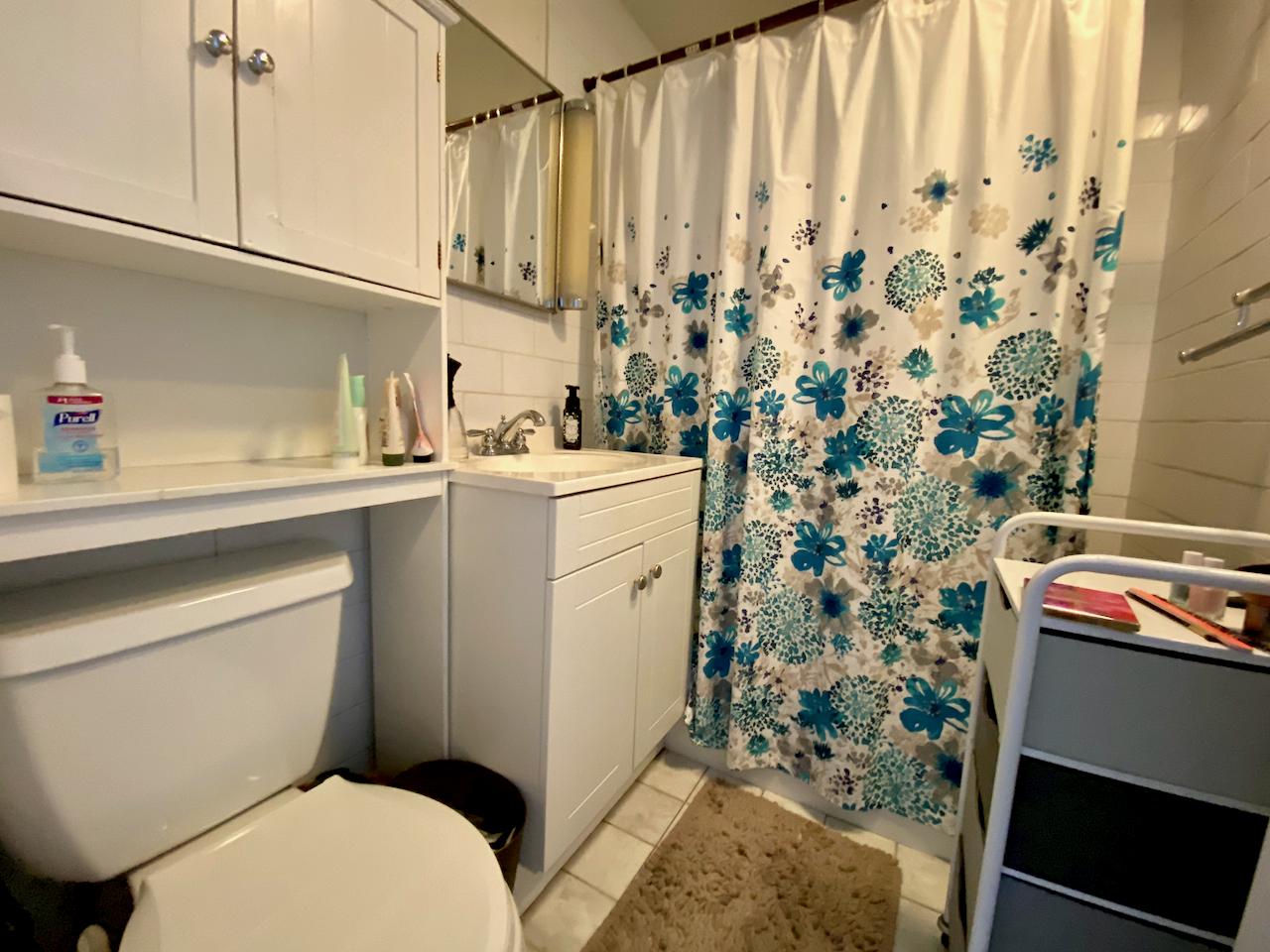 108 Myrtle St, Beacon Hill