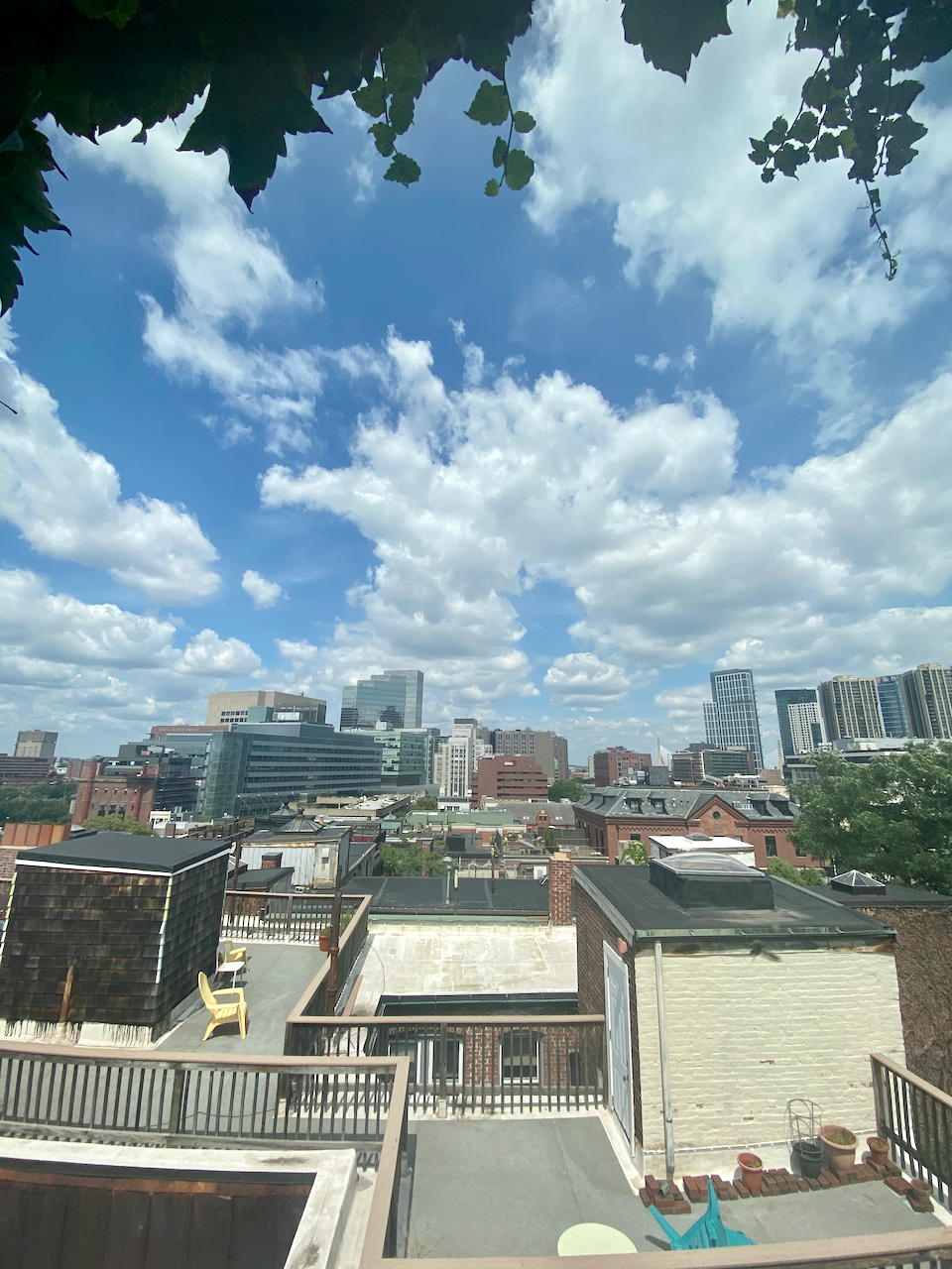 1 bed, 1 bath apartment for rent at 55 Revere St Unit 8, Beacon Hill — photo 16 of 16