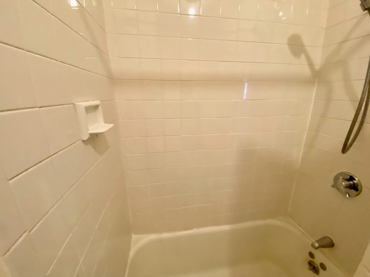 66 Myrtle St, Beacon Hill