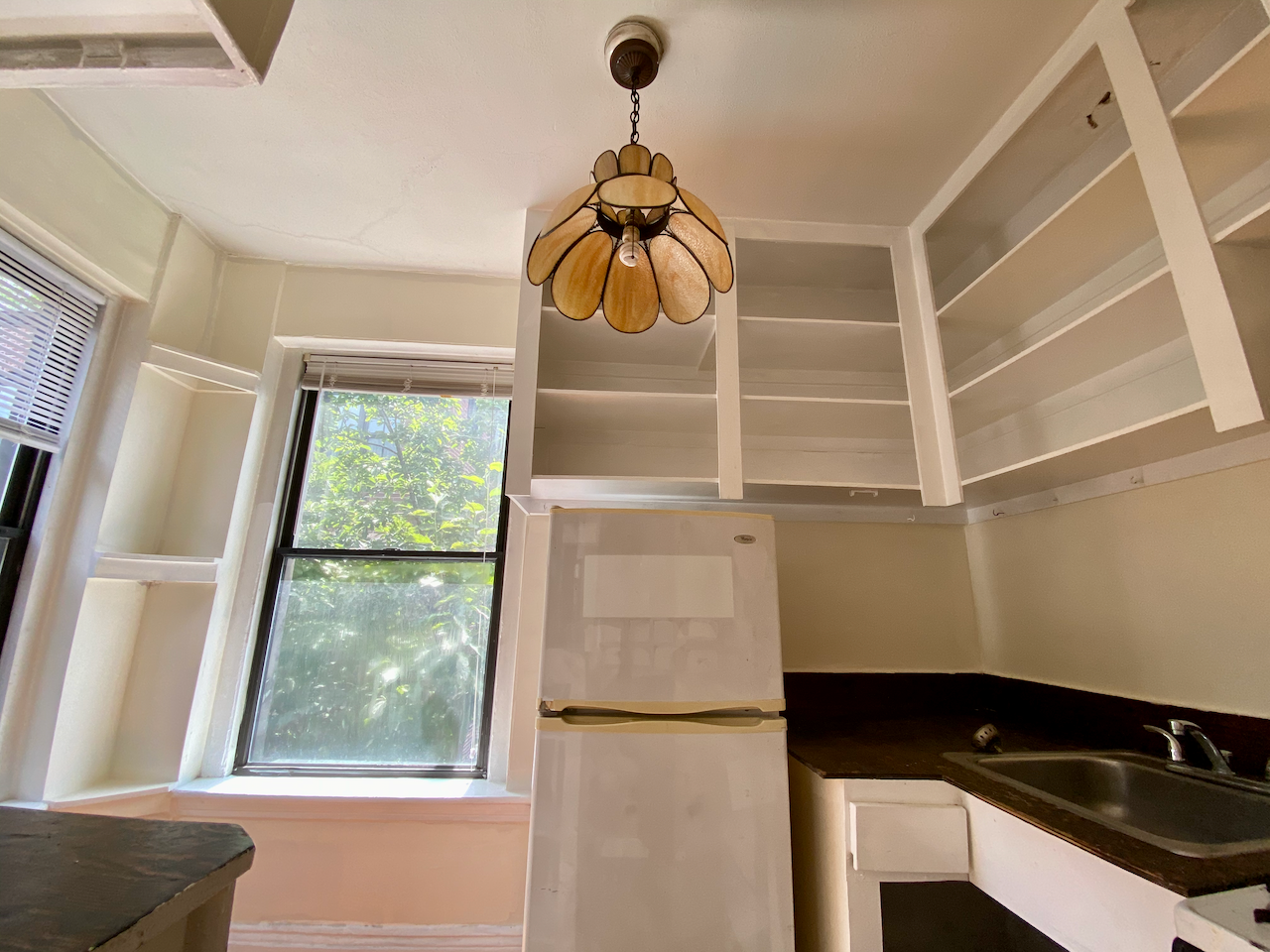 66 Myrtle St, Beacon Hill