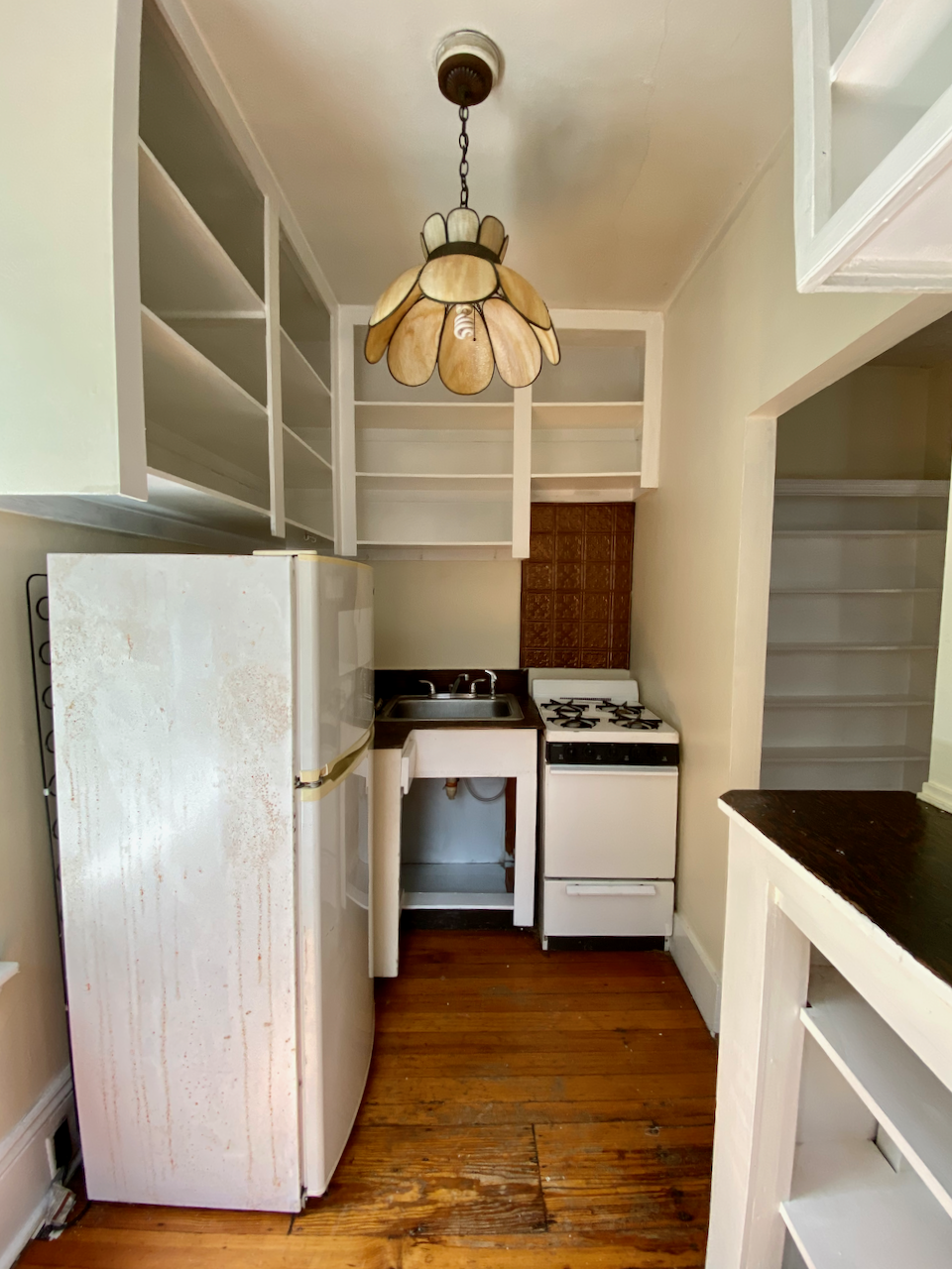 66 Myrtle St, Beacon Hill