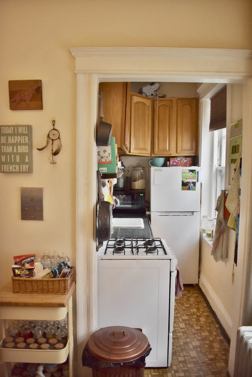 40 Anderson St, Beacon Hill