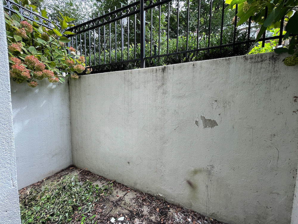 19 Queensberry St, Fenway