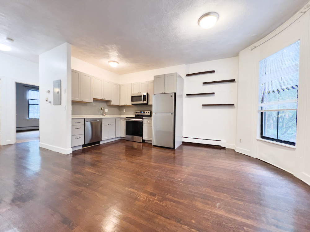 41 Springfield St, South End