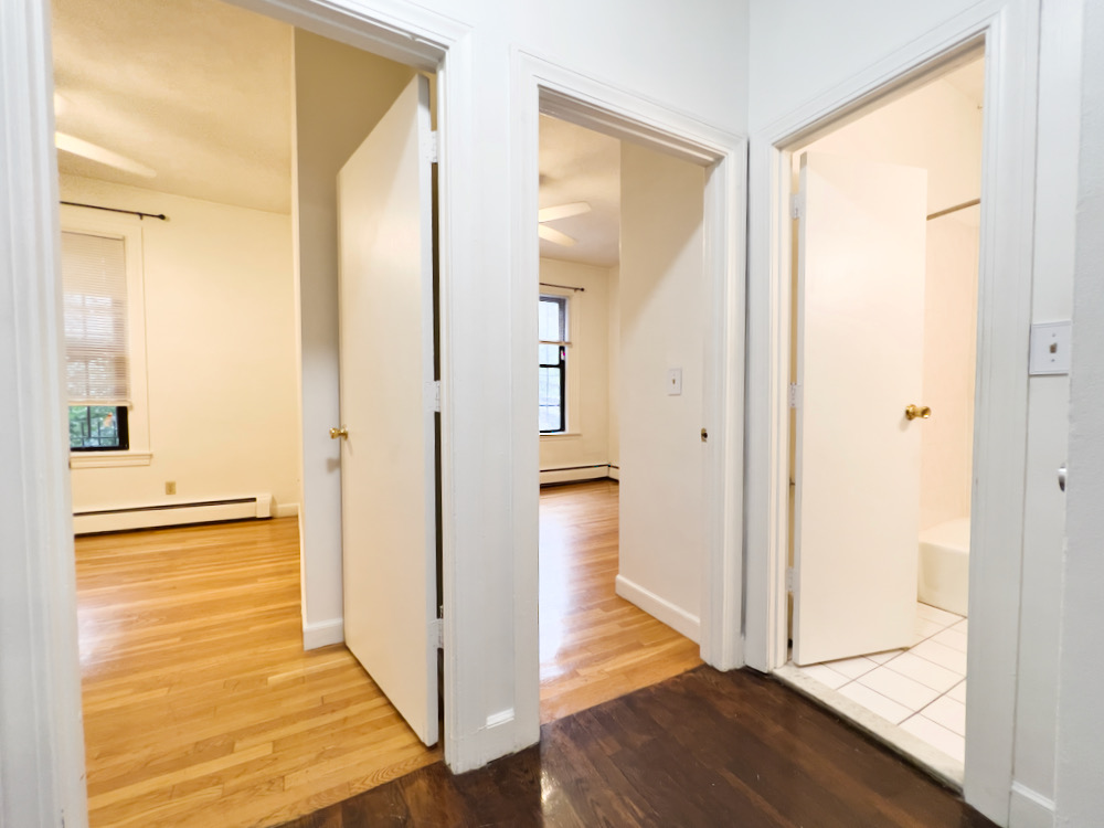 41 Springfield St, South End