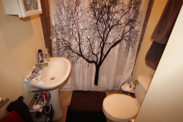 4 bed, 1 bath apartment for rent at 731 Parker St Unit 3A, Mission Hill — photo 5 of 16