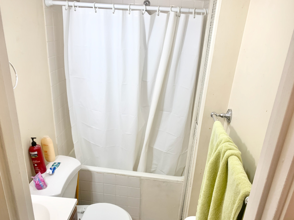 58 Anderson St, Beacon Hill