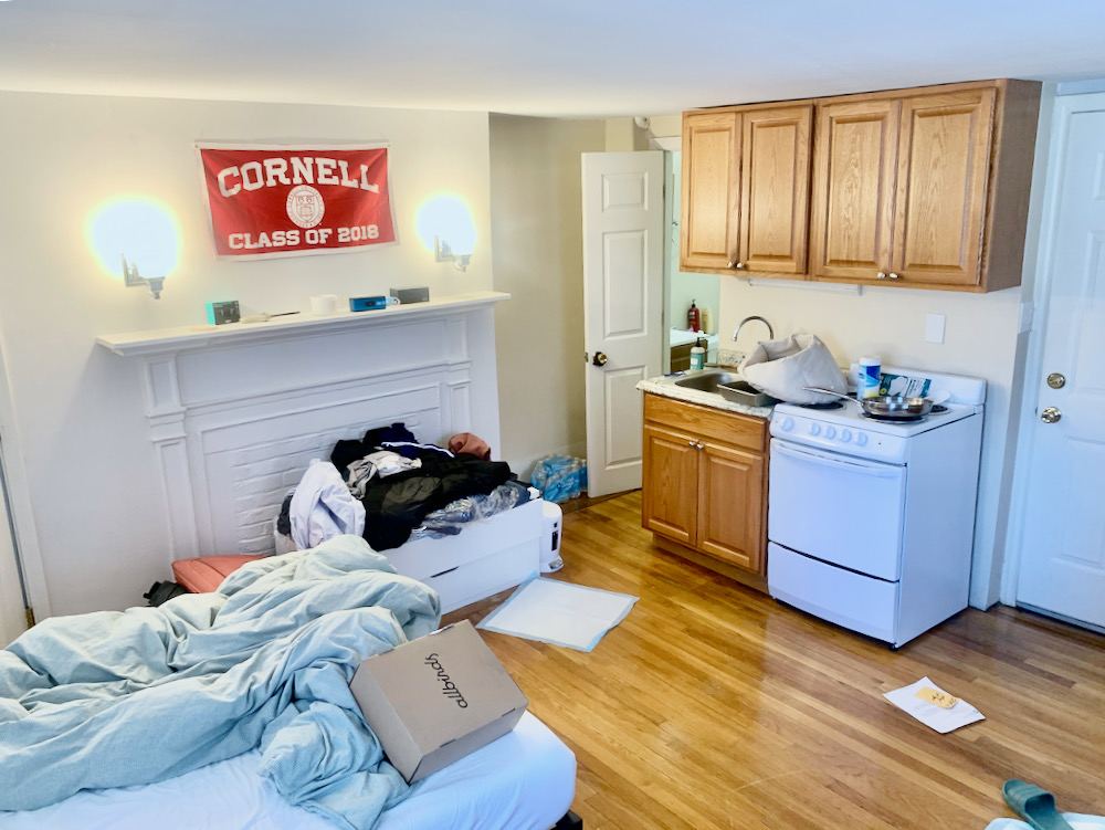 58 Anderson St, Beacon Hill