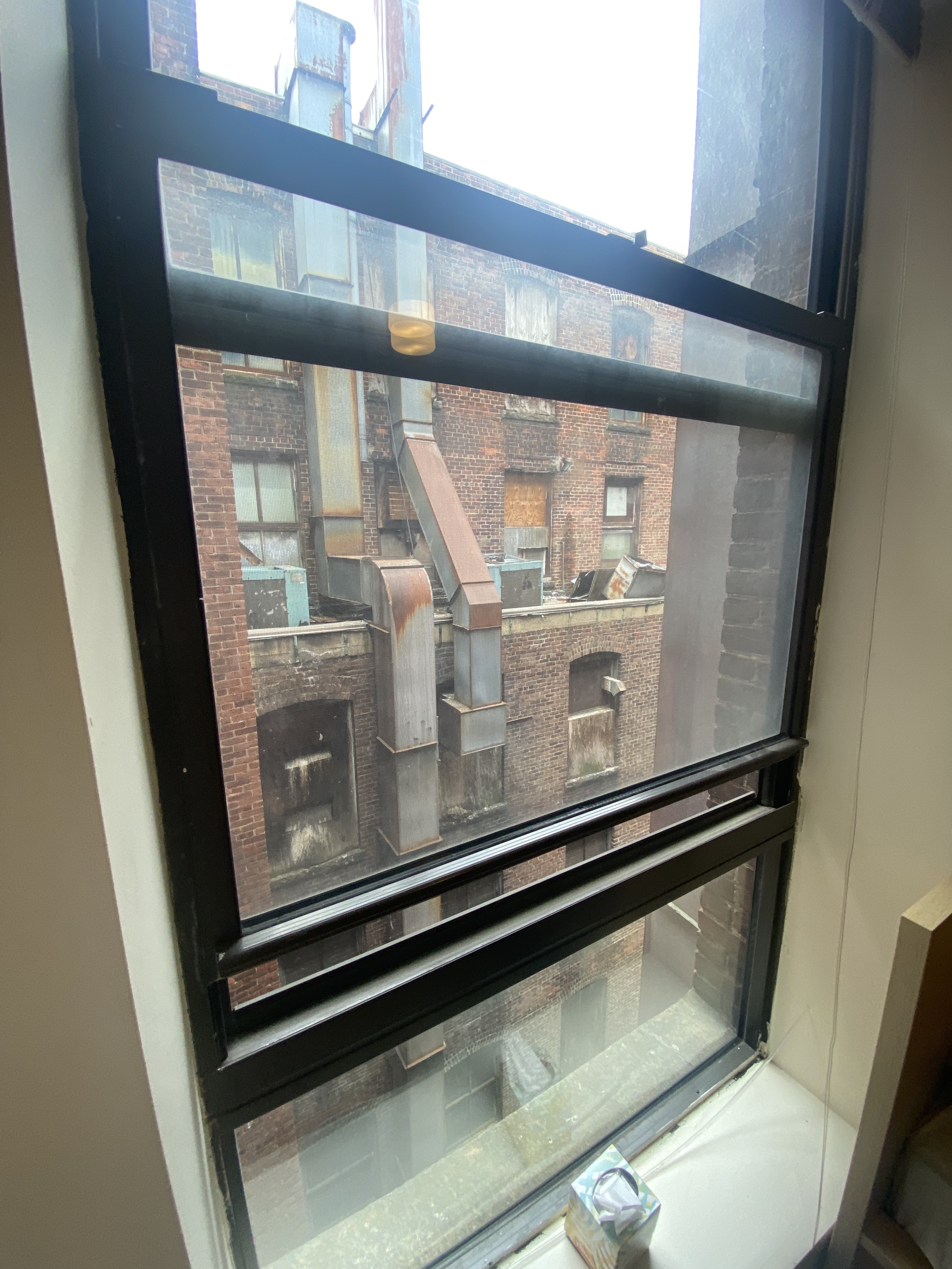 81 Essex St, Chinatown