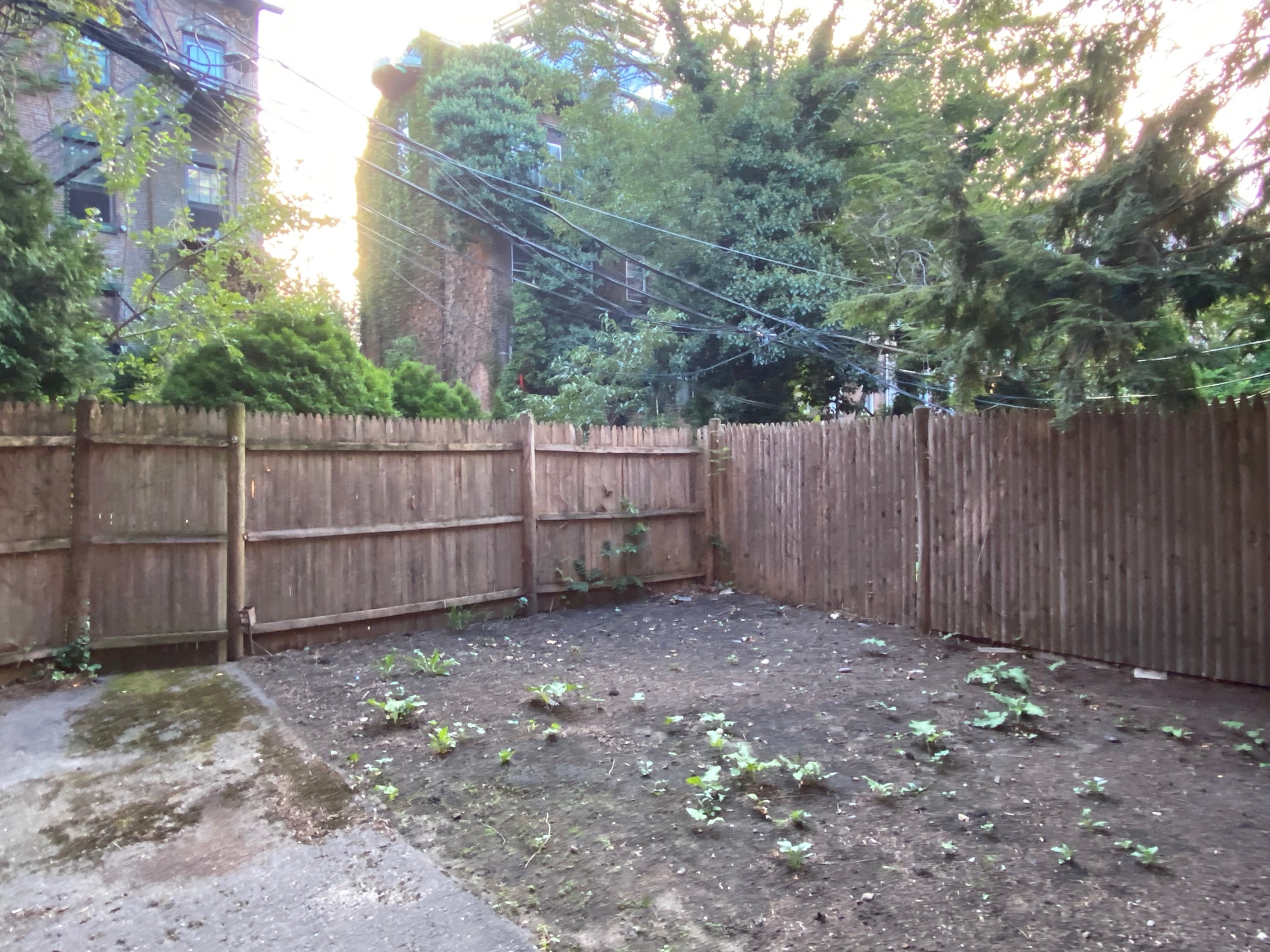 525 Massachusetts Ave, South End