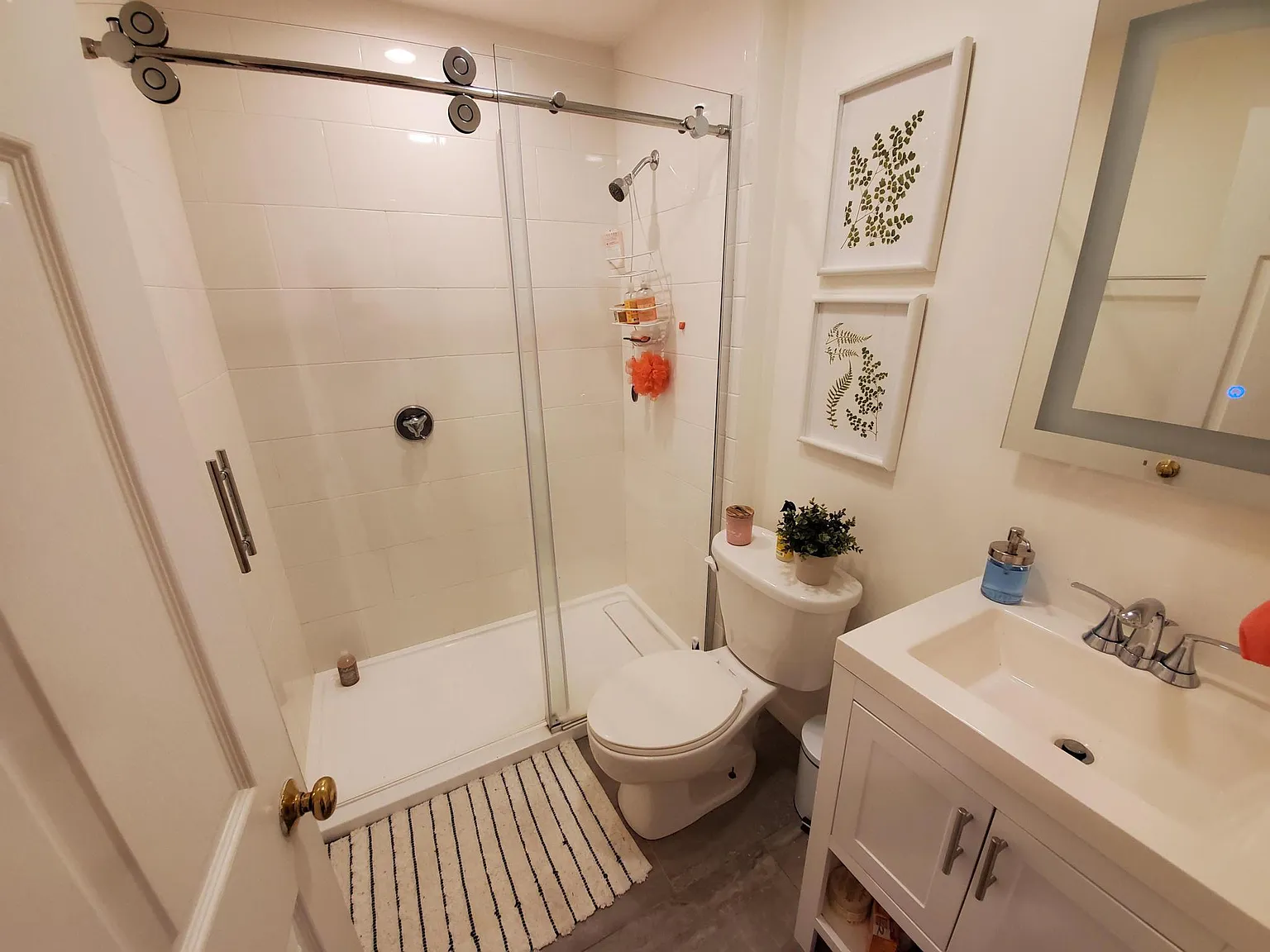 Photos of apartment on East Springfield St.,Boston MA 02118