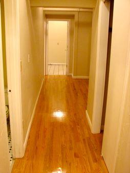 2 bed, 1 bath apartment for rent at 115 Saint Stephen St Unit B-1, Fenway — photo 4 of 9