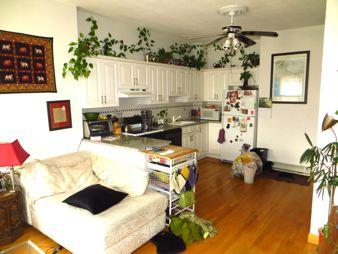 1.5 bed, 1 bath apartment for rent at 683 Tremont St Unit 2, South End
