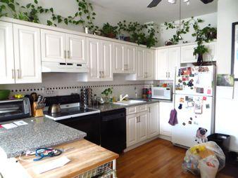 1.5 bed, 1 bath apartment for rent at 683 Tremont St Unit 2, South End — photo 10 of 17