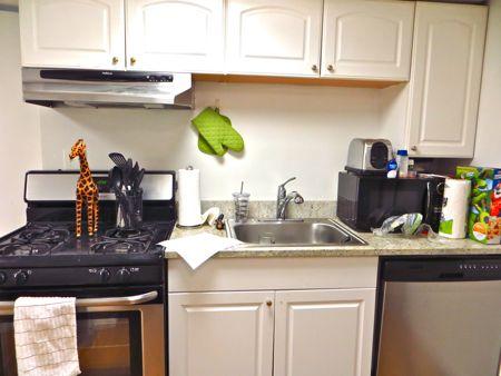 32 Irving St, Beacon Hill