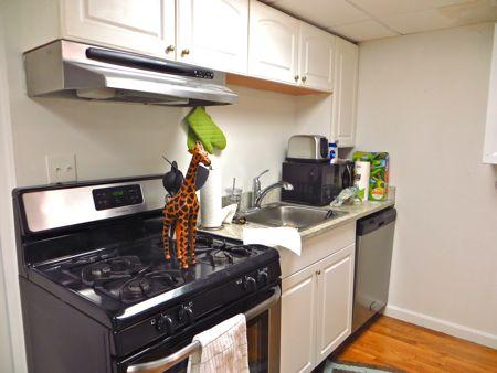 32 Irving St, Beacon Hill